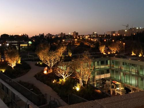 Illuminated roof garden at night